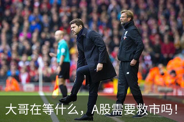 大哥在等什么，A股需要救市吗！